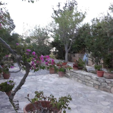 Aloni Apartment Kamilari Exterior photo